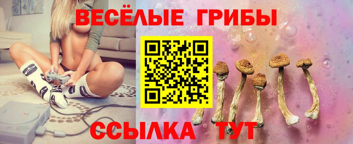 ГАШ Обь
