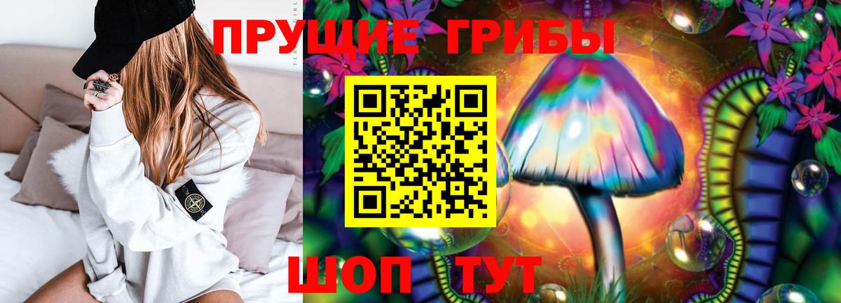 Псилоцибиновые грибы Psilocybine cubensis  Галлюциногенные грибы мухоморы  Обь  Вход с VPN 